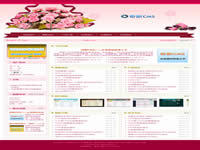 奇新CMS主题（红色18）